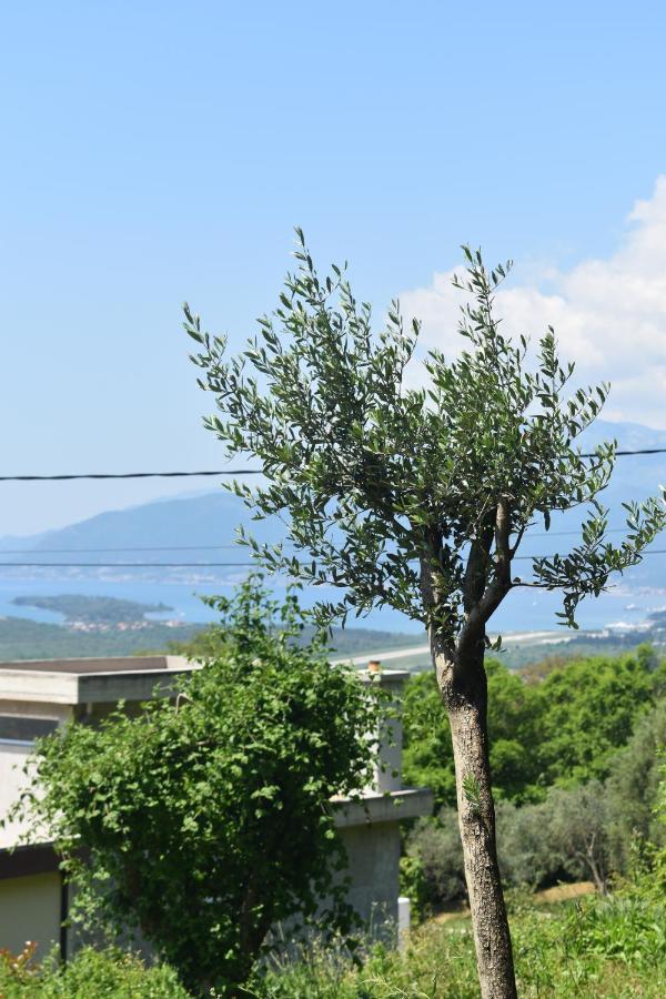 Apartment Macic Dub II Kotor Exterior photo
